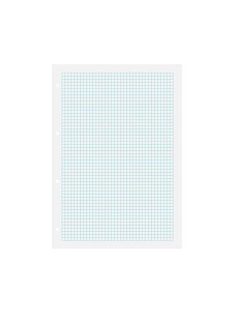 BRUNNEN VERLAG | Ringbucheinlagen Kariert 50 Blatt mit Rahmen