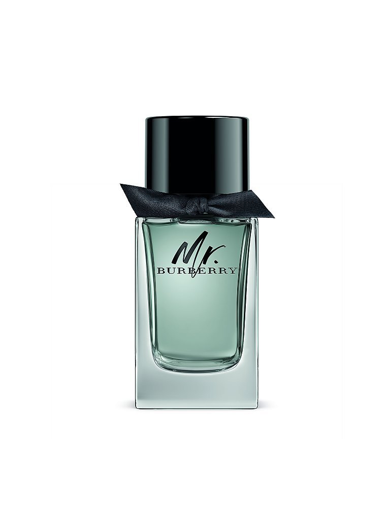 BURBERRY Mr. Burberry Eau de Toilette 100ml