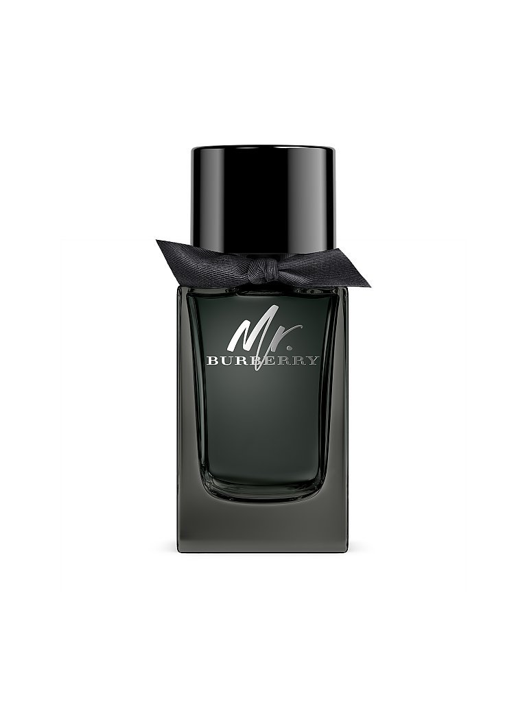 BURBERRY Mr. Burberry Eau de Parfum 100ml