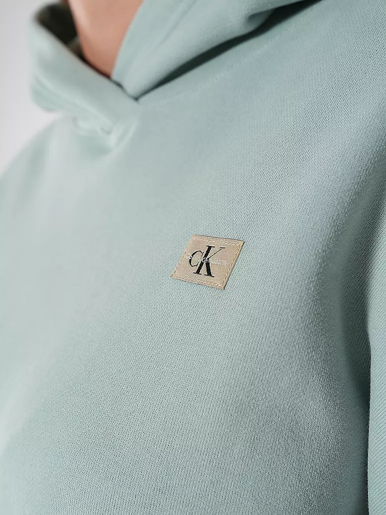 CALVIN KLEIN JEANS | Kapuzensweater - Hoodie | beige