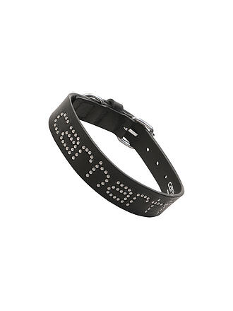 CARHARTT WIP | Hundehalsband SCRIPT STUDS