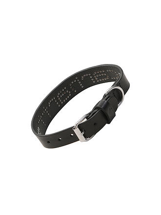 CARHARTT WIP | Hundehalsband SCRIPT STUDS