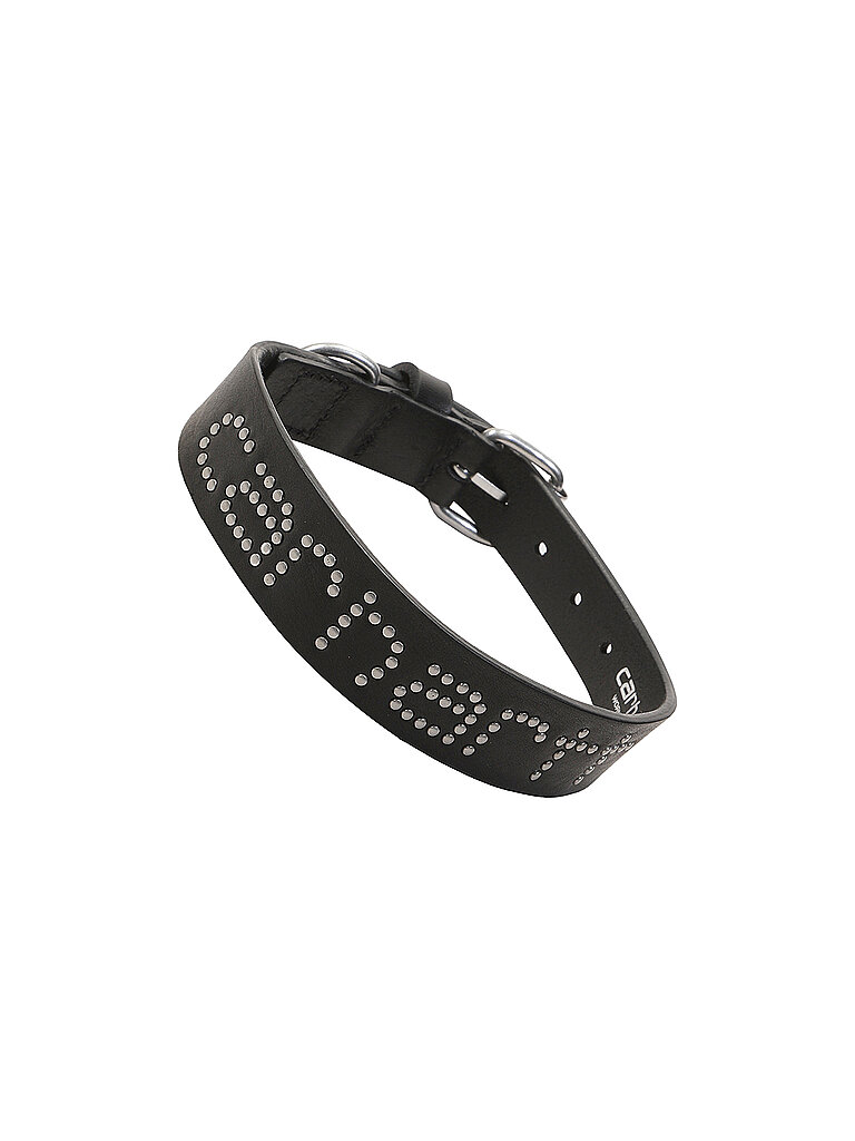 CARHARTT WIP Hundehalsband SCRIPT STUDS schwarz