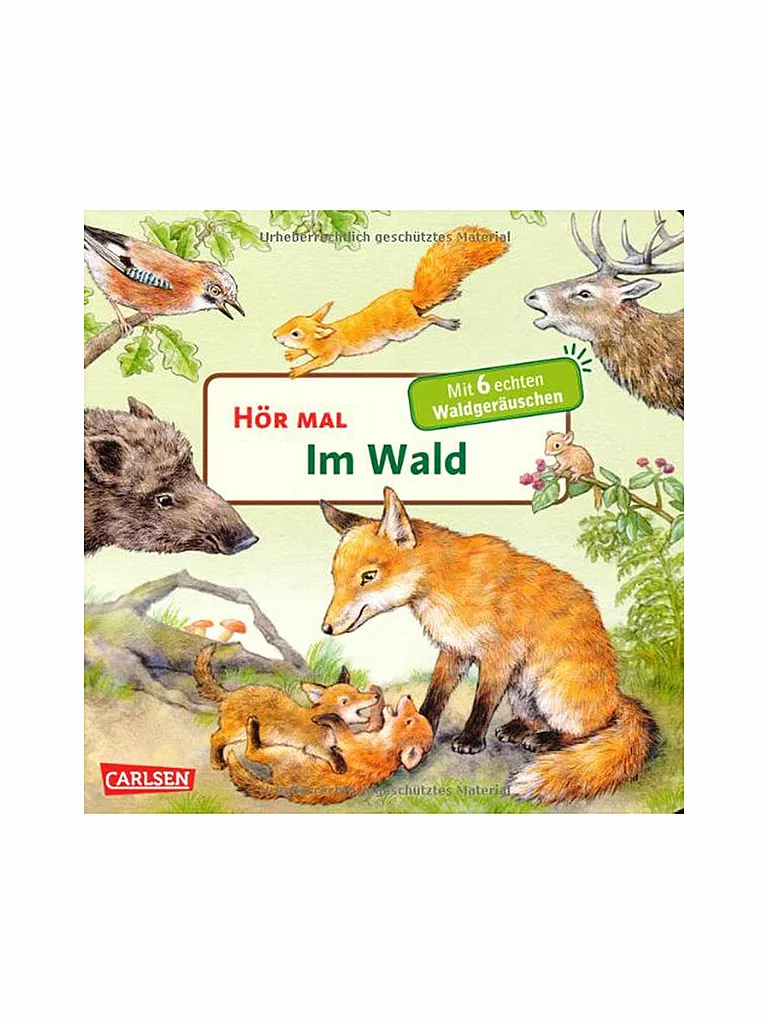 CARLSEN VERLAG | Buch - Hör mal im Wald | keine Farbe