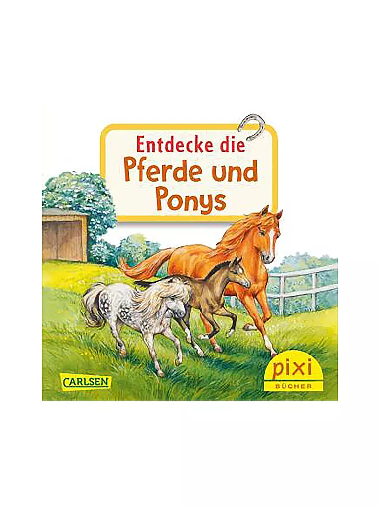 CARLSEN VERLAG | Buch - Pixi Adventskalender Entdecke deine Welt mit 24 Pixibücher  | keine Farbe