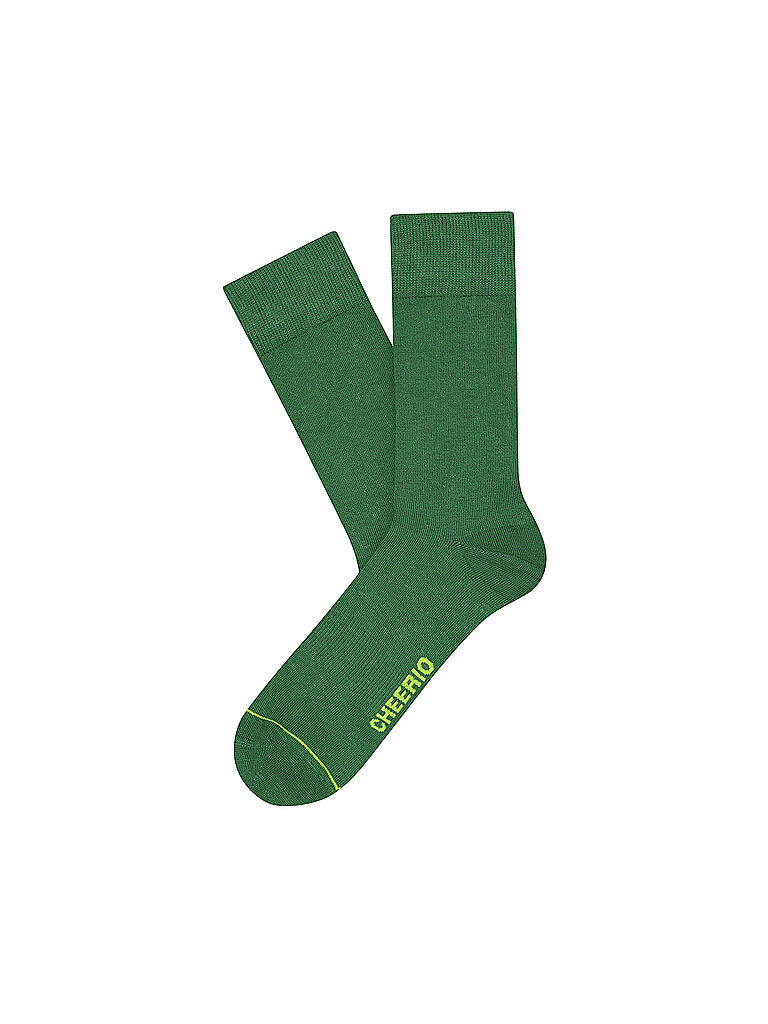 CHEERIO | Socken Best Friend 2-er Pkg. 403 tan green | grün