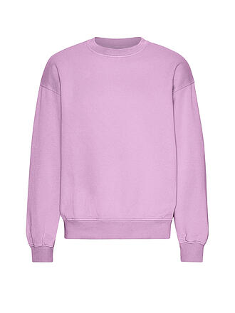 COLORFUL STANDARD | Sweater