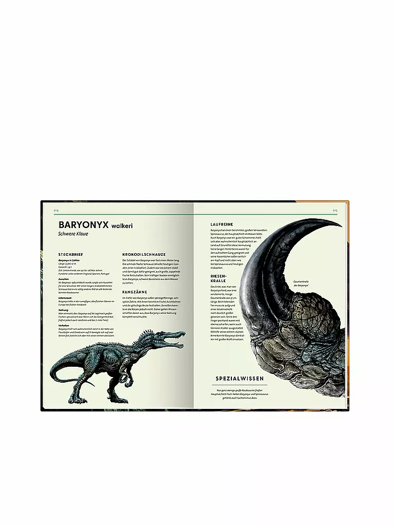 COPPENRATH VERLAG | Buch - Lebensgross Dinosaurier | keine Farbe