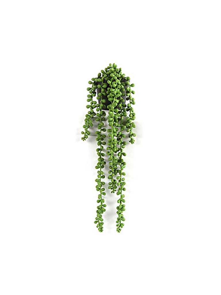 COUNTRYFIELD | Dekopflanze - Senecio Rowleyanus 43cm  | grün