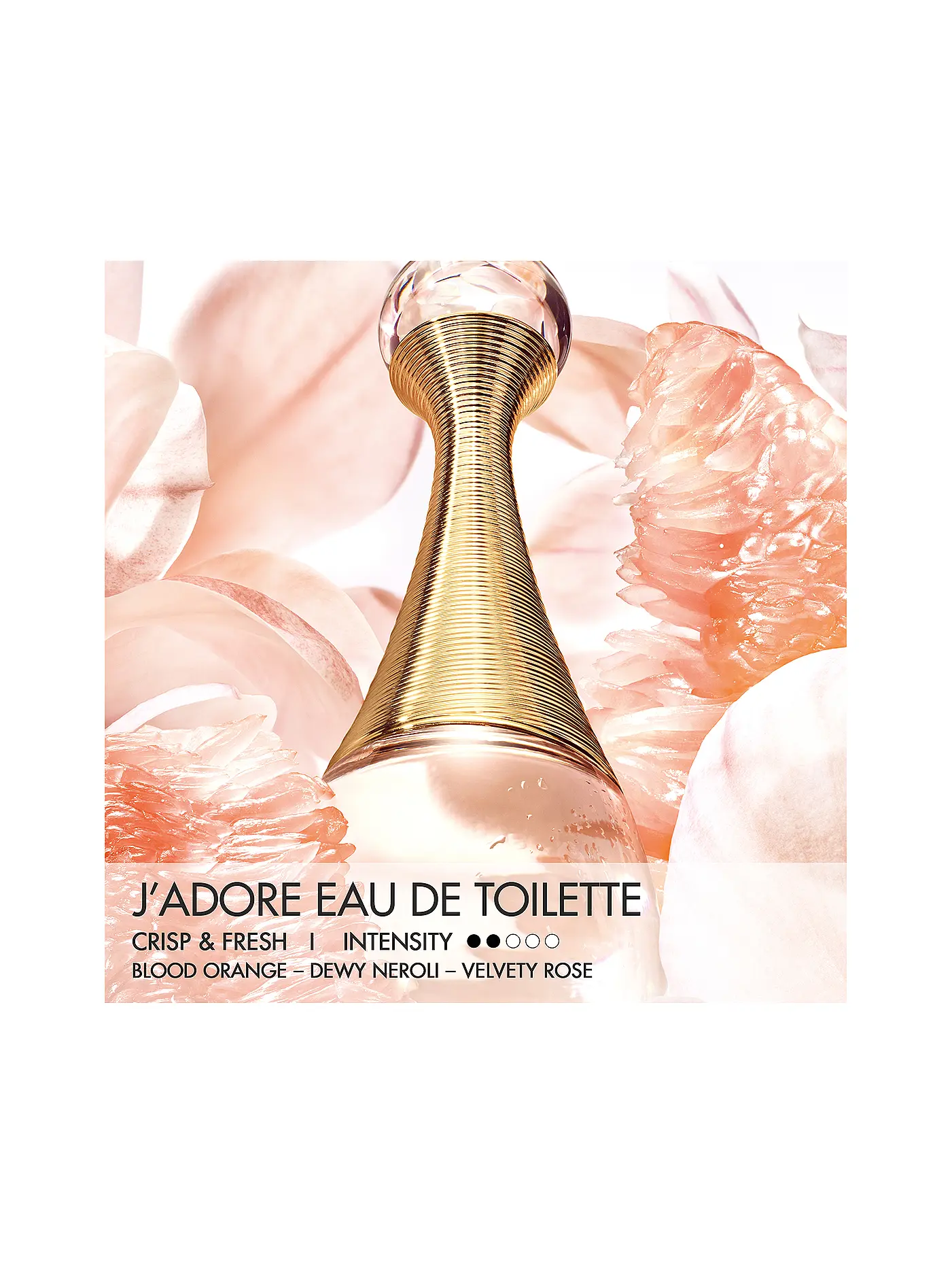 DIOR | J'adore Eau de Toilette 100ml | keine Farbe
