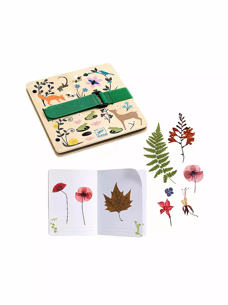 DJECO | Pflanzenpresse und Herbarium - kleine Botaniker | keine Farbe