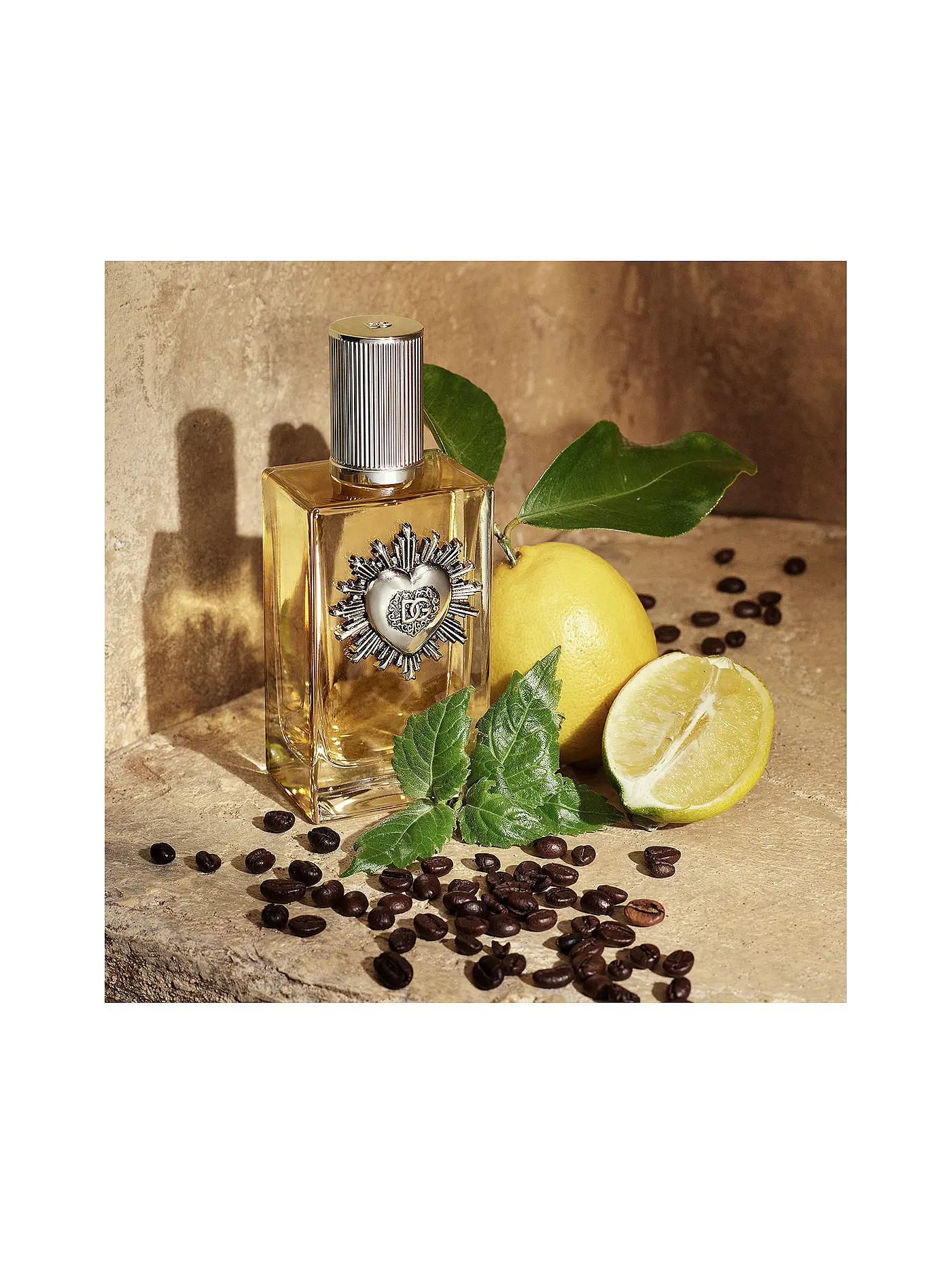 DOLCE&GABBANA | Devotion For Men Eau de Parfum 100ml | keine Farbe