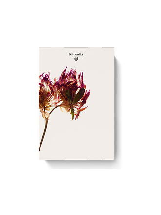 DR. HAUSCHKA | Adventkalender 2026 bliss