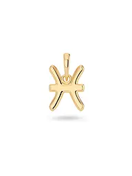 EDBLAD | Anhänger PISCES steel | gold