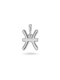 EDBLAD | Anhänger PISCES steel | silber