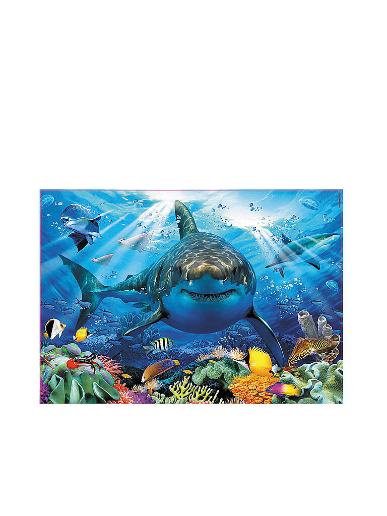 EDUCA | Weisser Hai 500 Teile Puzzle | keine Farbe