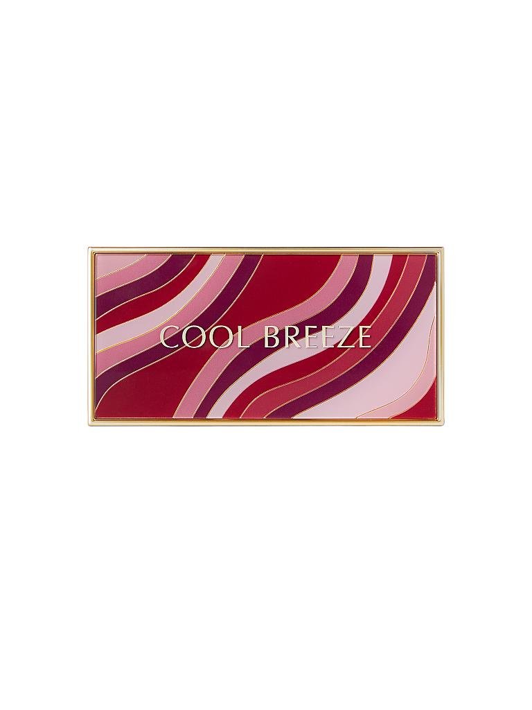 ESTÉE LAUDER | Lippenstift - Pure Color Envy Lip Palette ( 3 Cool Breeze ) | 999