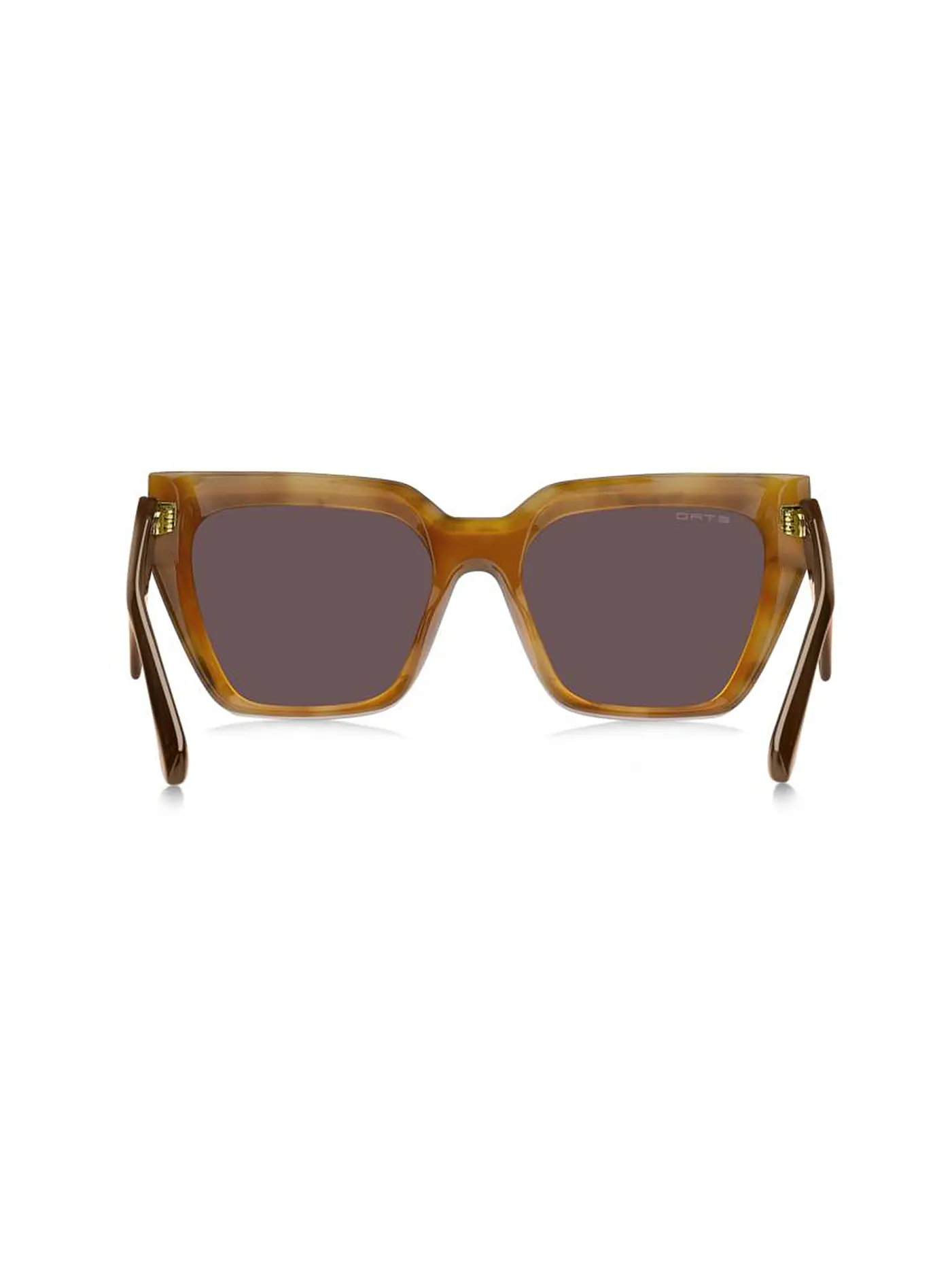 ETRO | Sonnenbrille ETRO0096/G/S/55 | braun