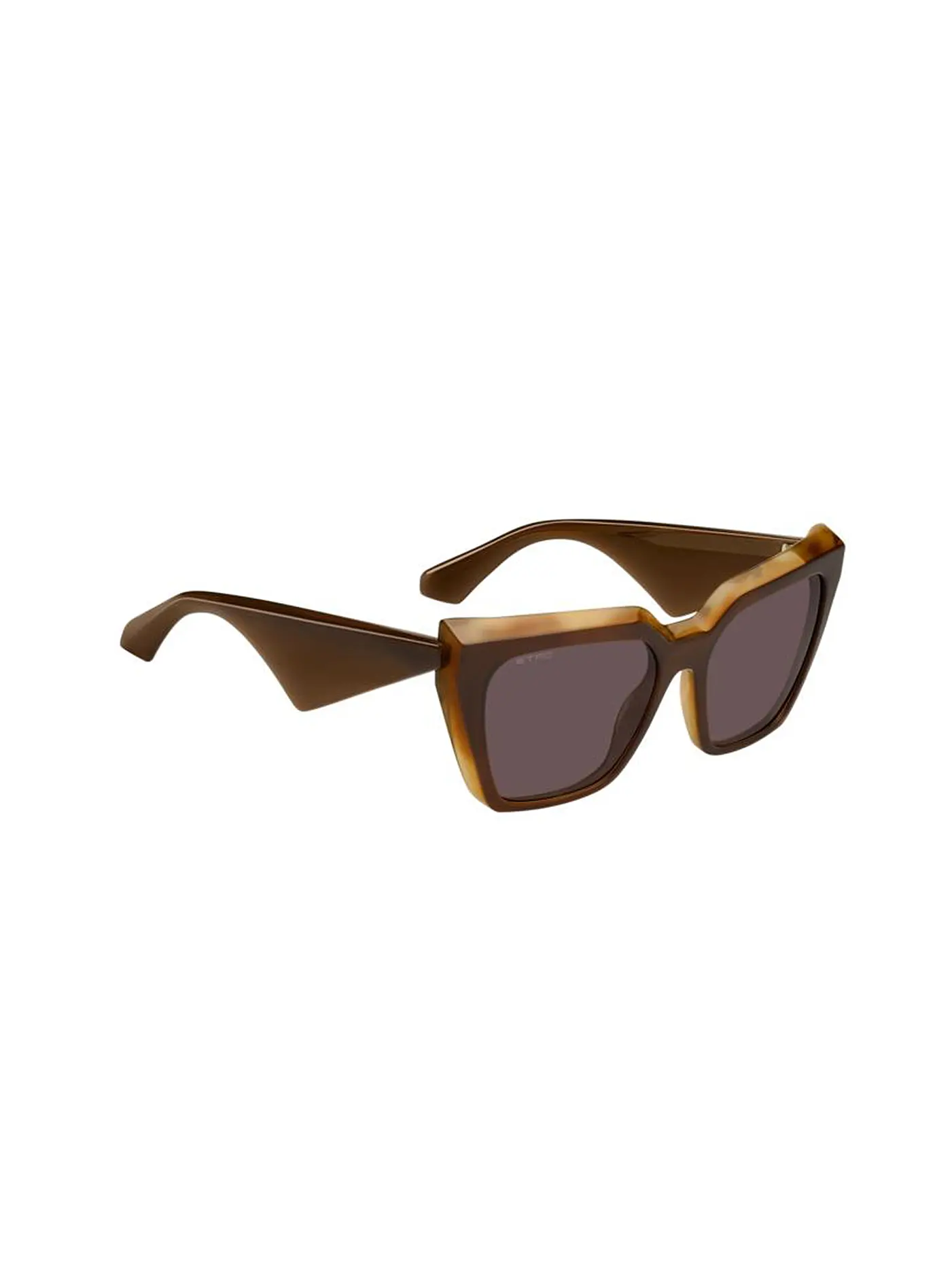 ETRO | Sonnenbrille ETRO0096/G/S/55 | braun
