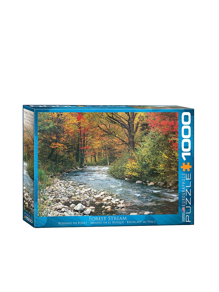 EUROGRAPHICS | Puzzle - Forest Stream (1000 Teile) | bunt