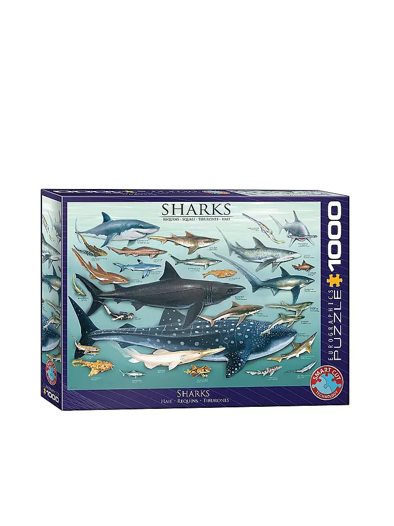 EUROGRAPHICS | Puzzle - Haie 100 Teile  | keine Farbe
