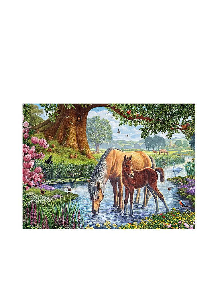 EUROGRAPHICS | Puzzle - The Fell Ponies by Steve Crisp (1000 Teile) | bunt