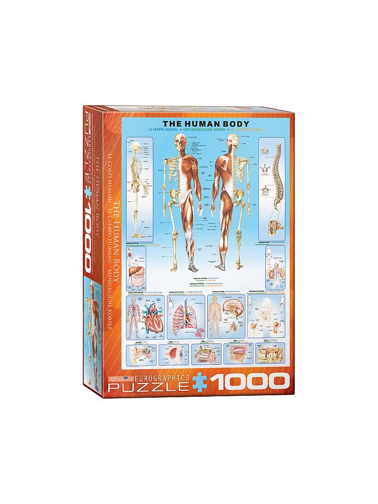 EUROGRAPHICS | Puzzle - The Human Body (1000 Teile) | bunt
