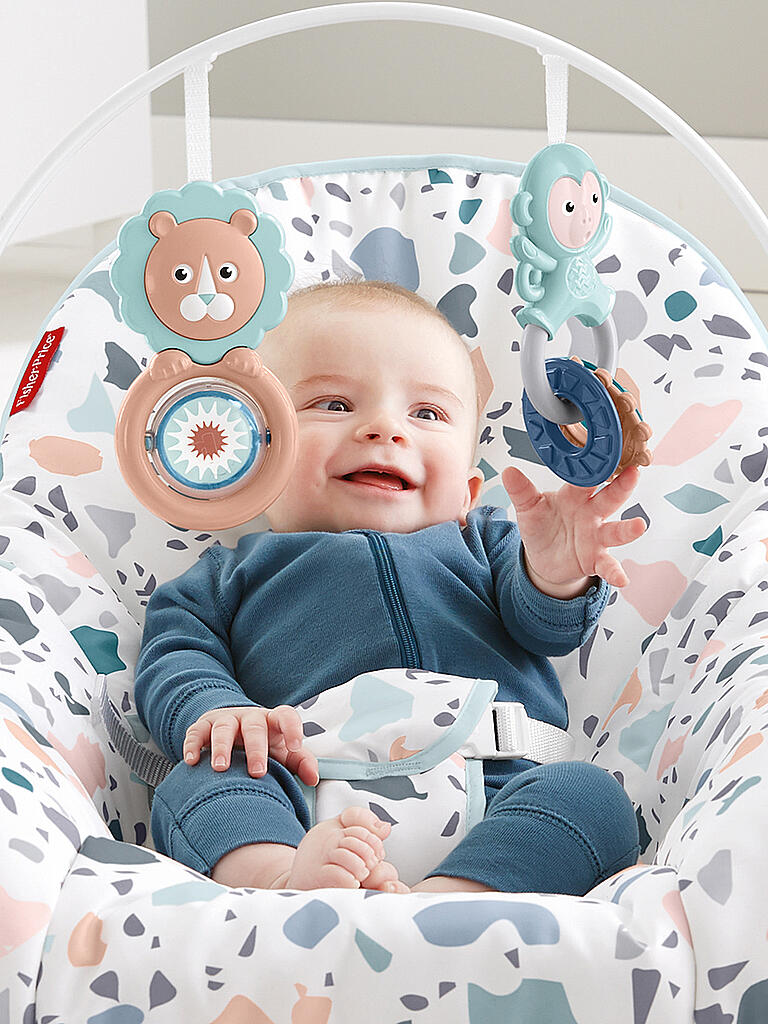 FISHER PRICE | 2-in-1 Schaukelsitz | keine Farbe