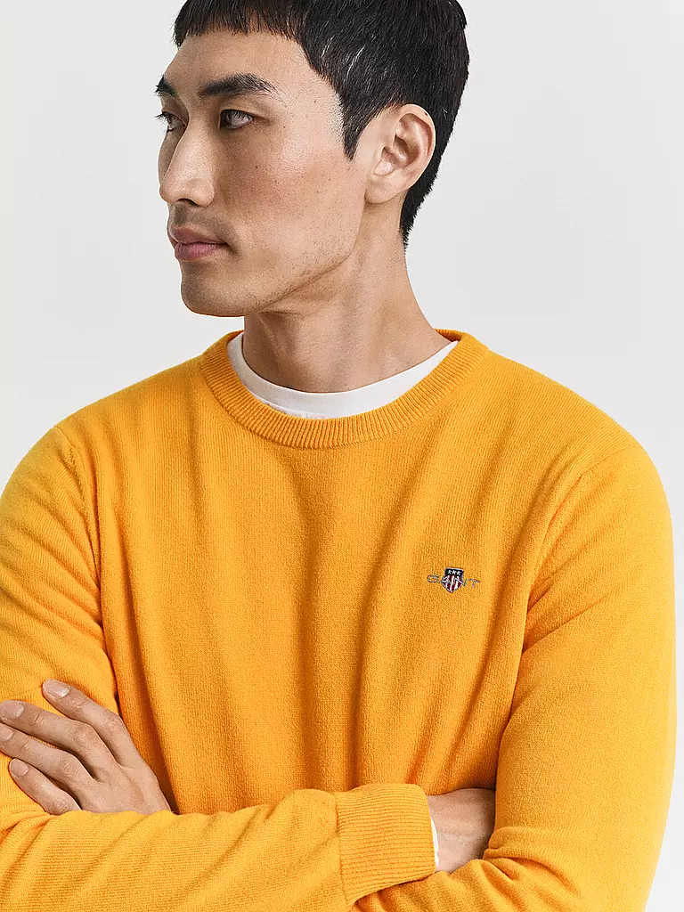 GANT | Pullover | 