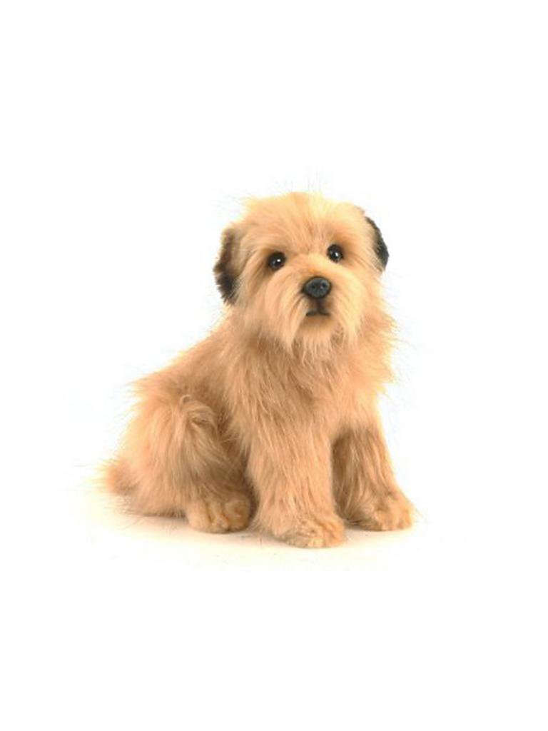 HANSA | Plüschtier Norfolk Terrier | keine Farbe