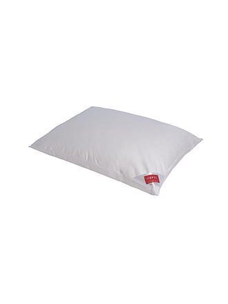 HEFEL | Kissen 70x90cm SOFTBAUSCH HOME ungesteppt 