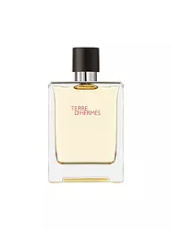HERMÈS | Terre d'Hermès Eau de Toilette 100ml | keine Farbe