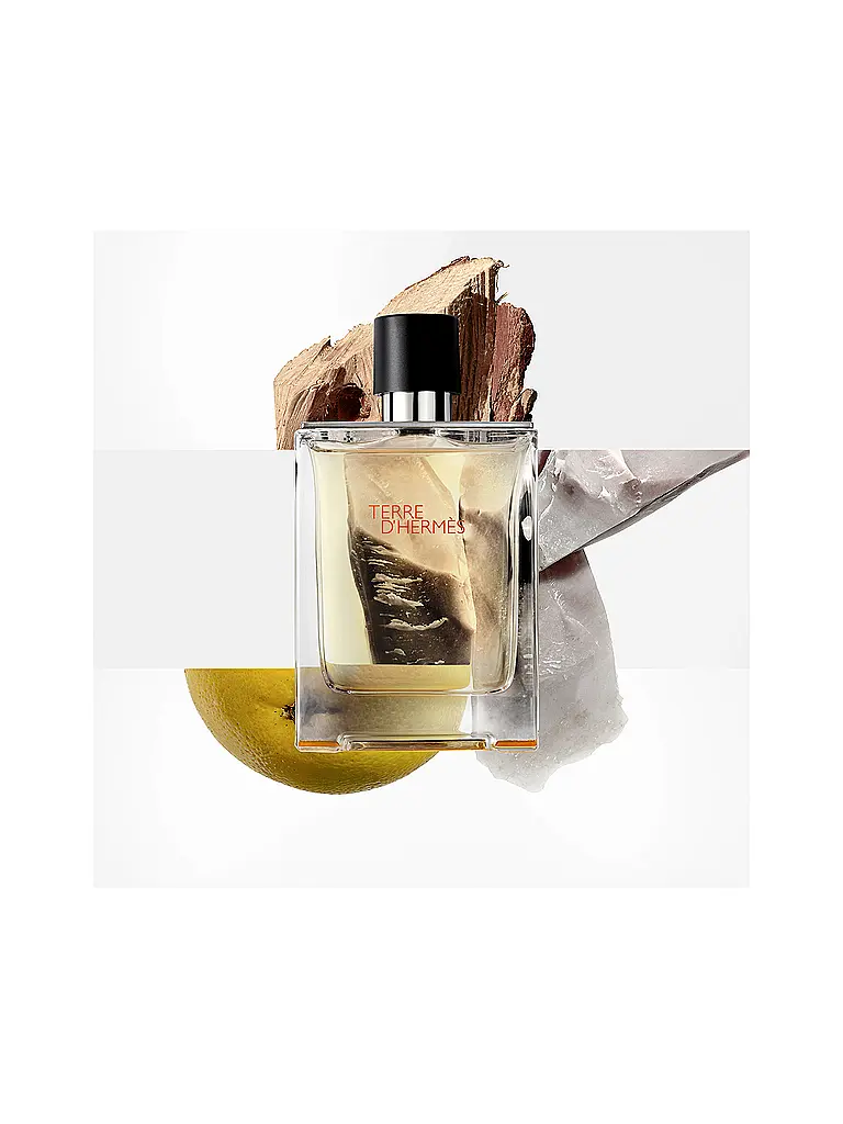 HERMÈS | Terre d'Hermès Nachfüllflakon Eau de Toilette 125ml | 