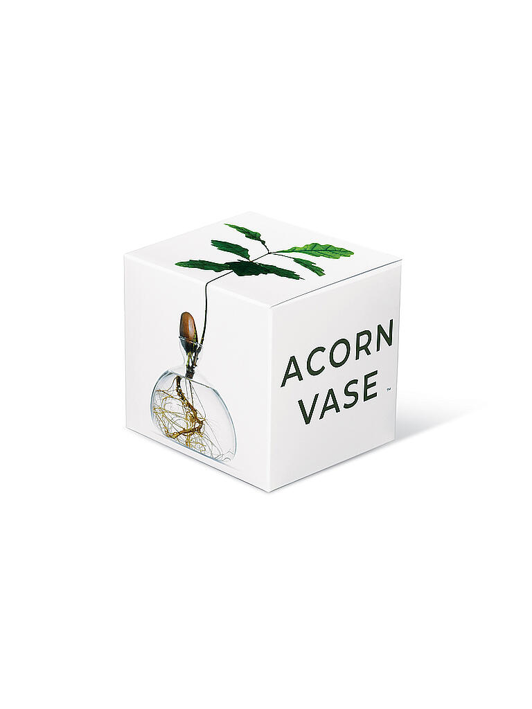 ILEX STUDIOS | Acorn Vase | bunt
