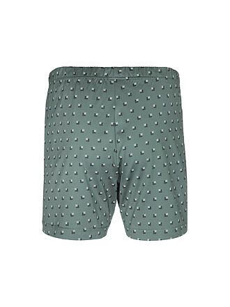 ISA | Boxershorts gruen