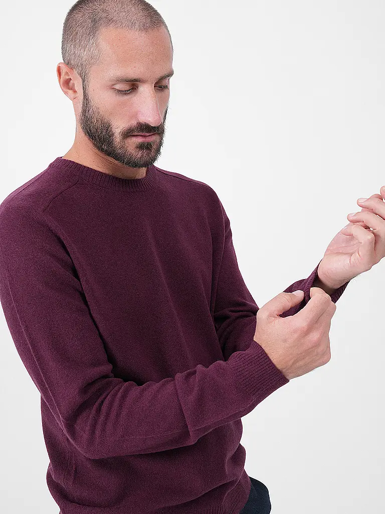 KNOWLEDGE COTTON APPAREL | Pullover | 