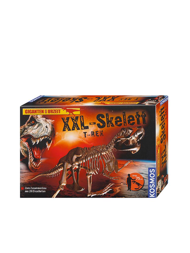 KOSMOS | Experiment -  XXL-Skelett Tyrannosaurus Rex | keine Farbe