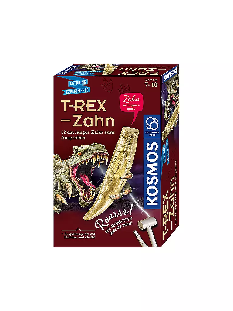 KOSMOS | T-Rex - Zahn | keine Farbe