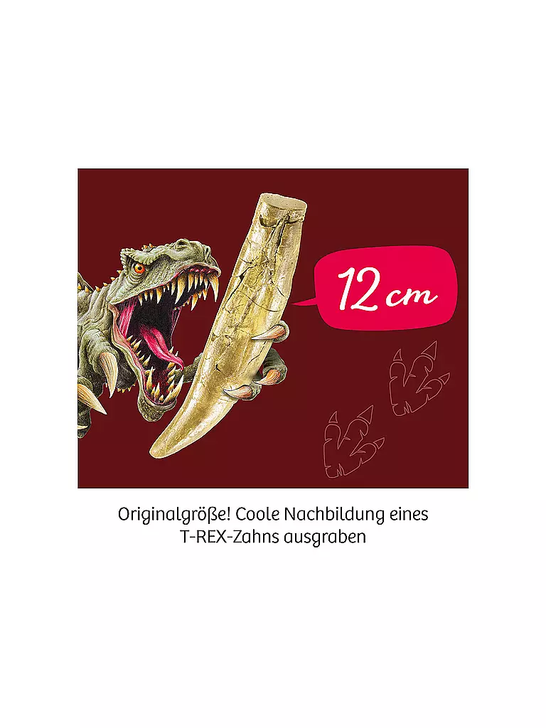 KOSMOS | T-Rex - Zahn | keine Farbe