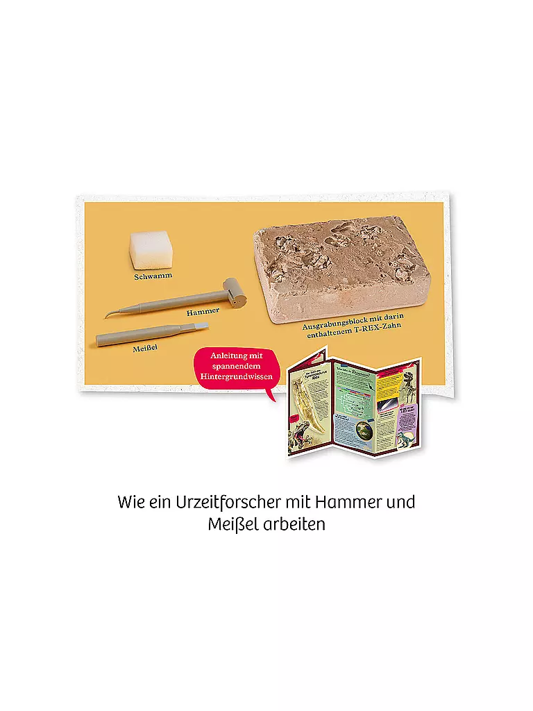 KOSMOS | T-Rex - Zahn | keine Farbe