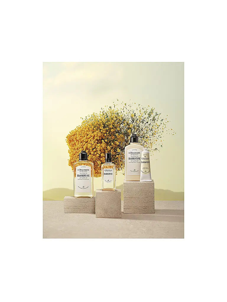 L'OCCITANE | Barbotine Duschgel 250ml | Keine Farbe