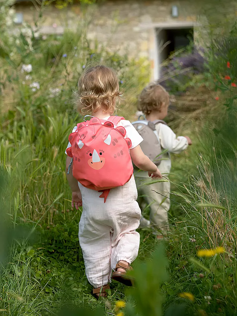 LÄSSIG | Kindergarten Rucksack Tiny About Friends Dino Rose | rot