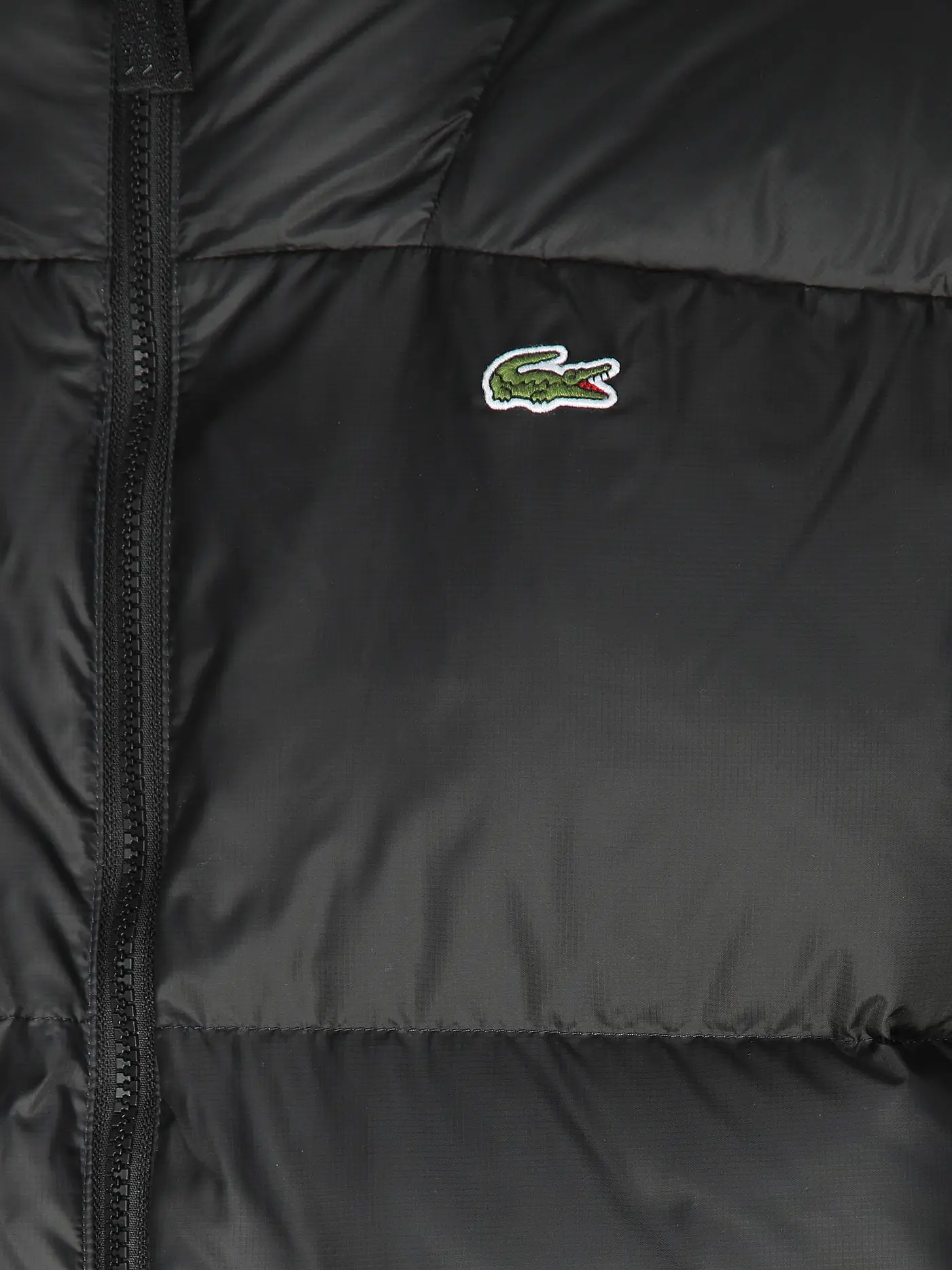 LACOSTE | Daunenjacke  | schwarz