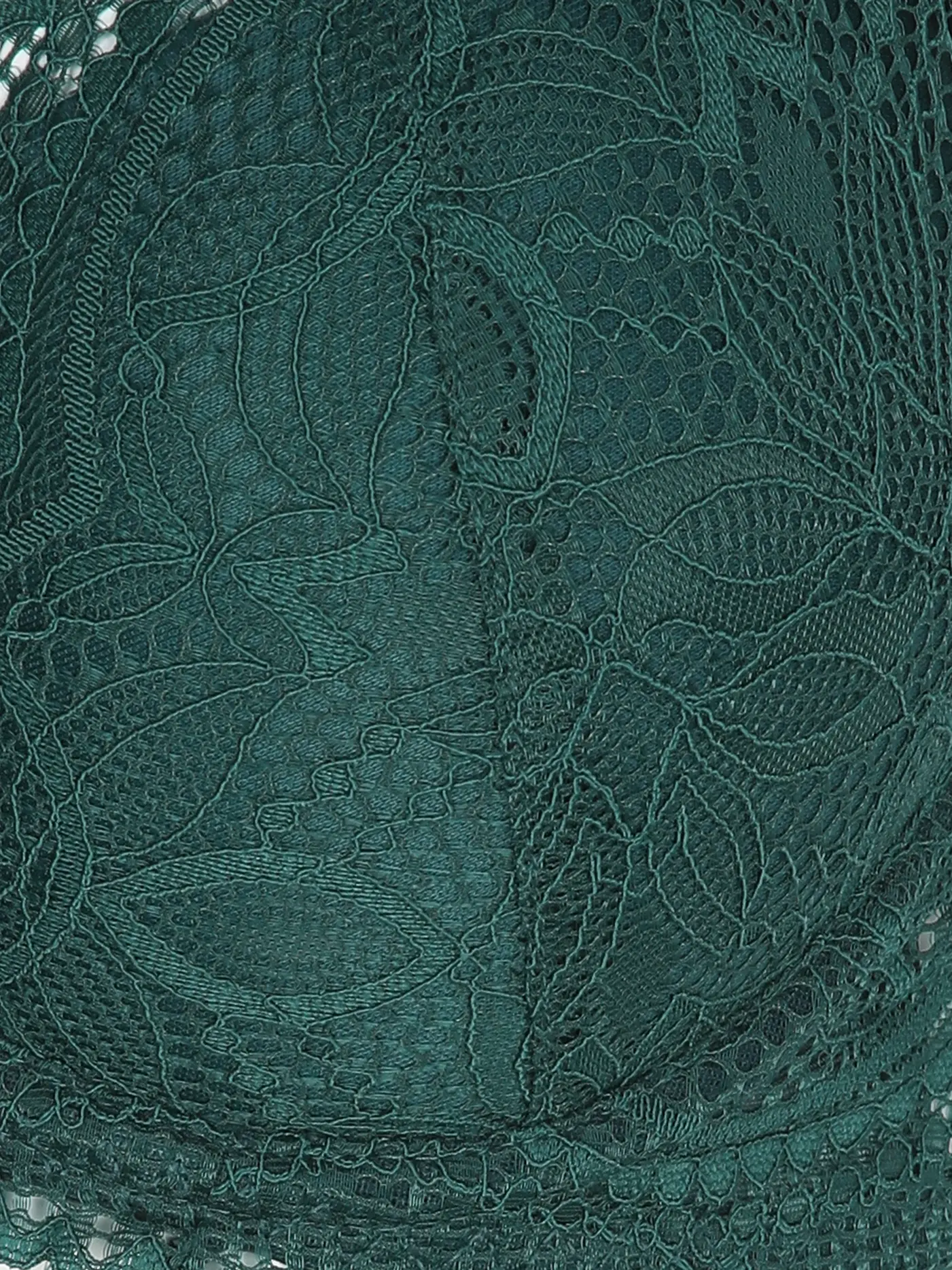 LASCANA | Push Up BH VIVIANNA fir green | dunkelgrün