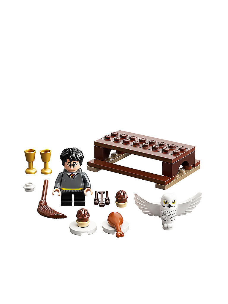 LEGO | Harry Potter ™ - Harry Potter™ und Hedwig™ Eulenlieferung 30420 | keine Farbe