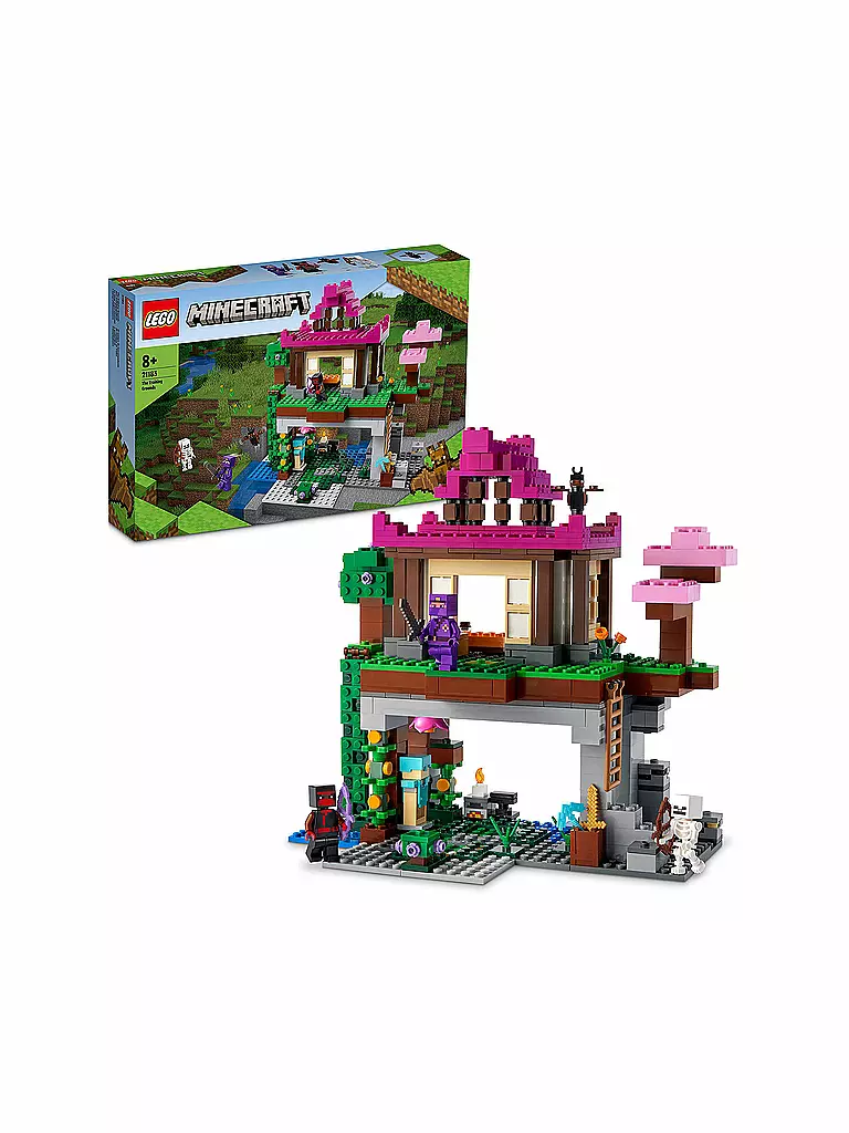 LEGO | Minecraft - Das Trainingsgelände 21183 | keine Farbe
