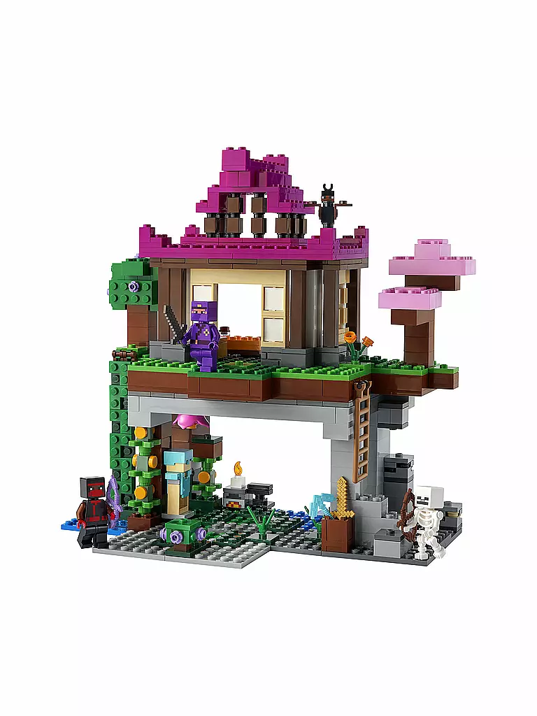 LEGO | Minecraft - Das Trainingsgelände 21183 | keine Farbe