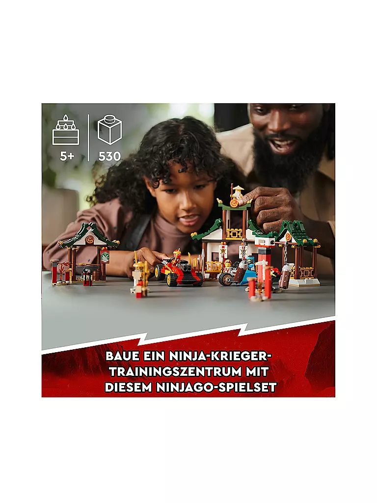 LEGO | Ninjago - Kreative Ninja Steinebox 71787 | keine Farbe