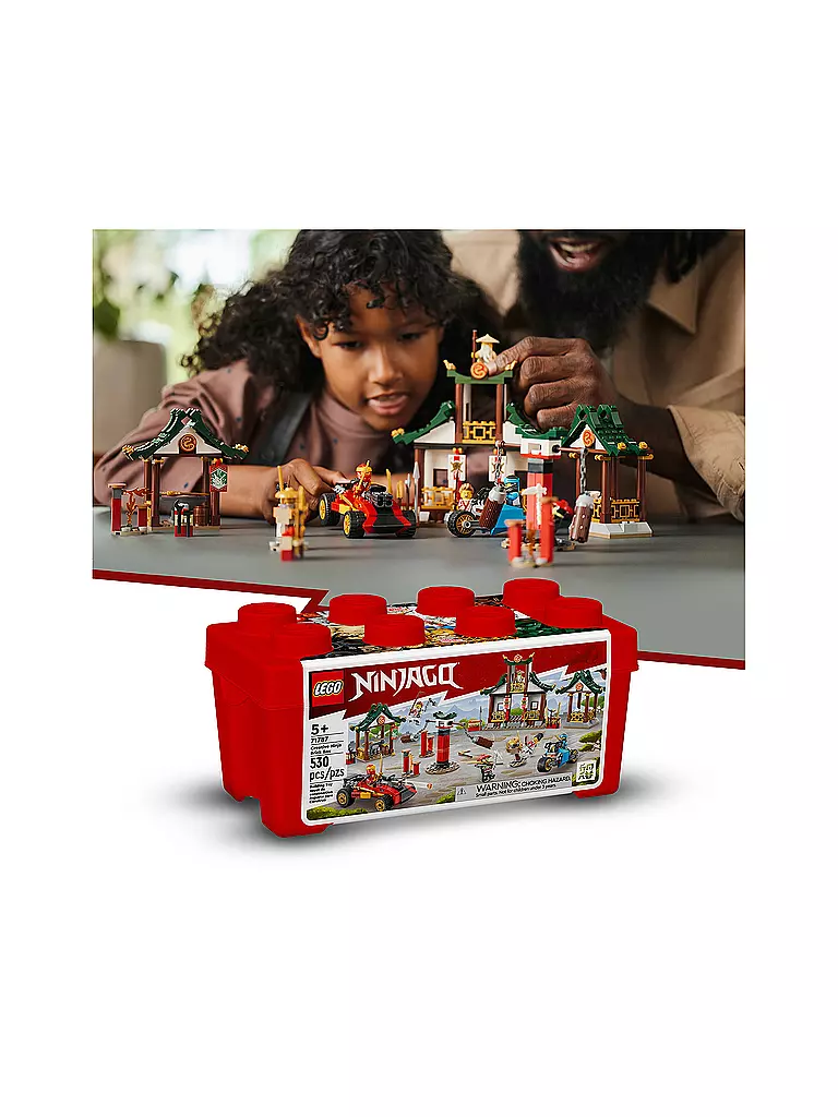 LEGO | Ninjago - Kreative Ninja Steinebox 71787 | keine Farbe