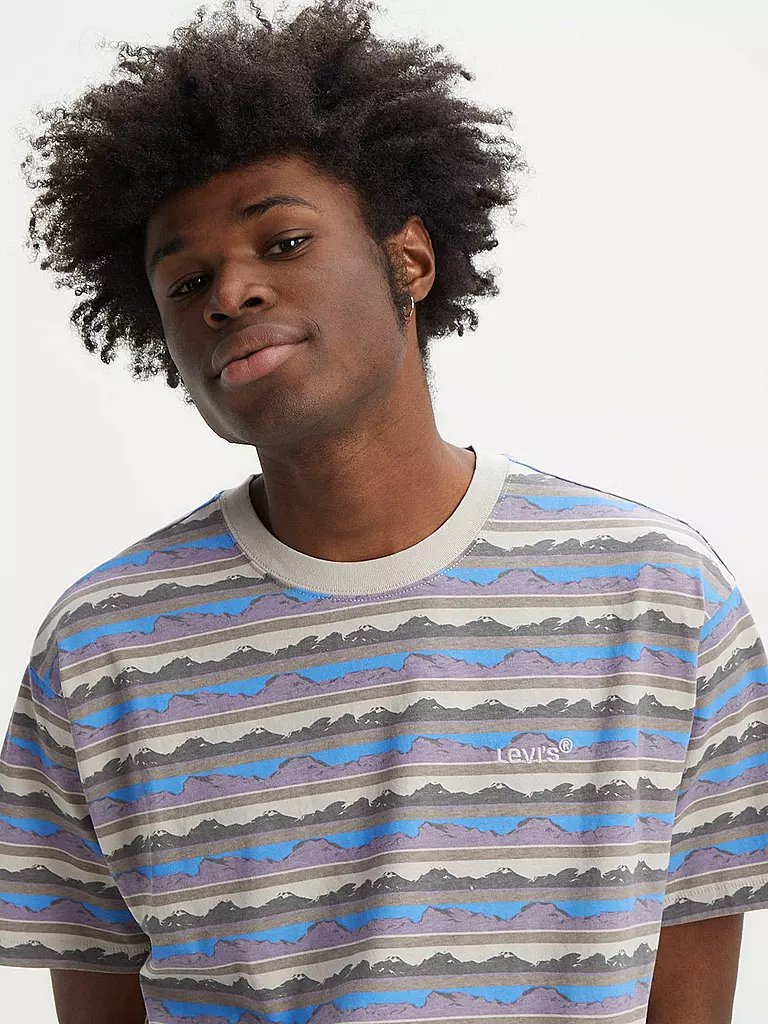 LEVI'S® | T-Shirt | grau